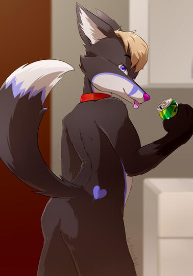Pokusa